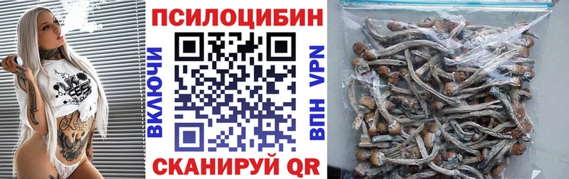 Галлюциногенные грибы Psilocybine cubensis Москва