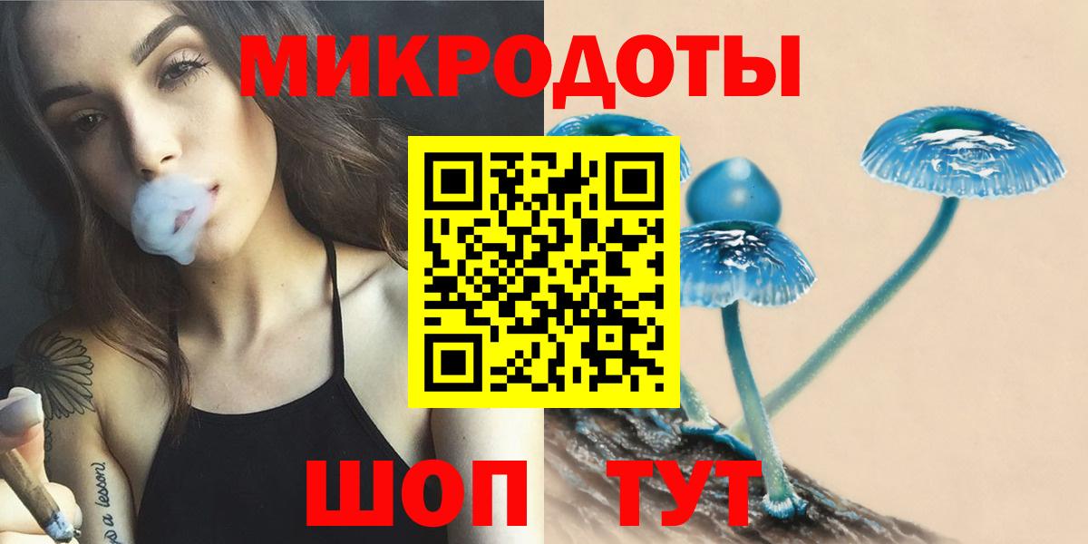 ГАШ Россия
